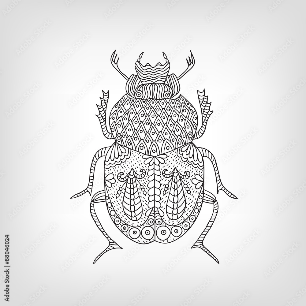 The scarab beetle on a light background. The scarab beetle on a light background.