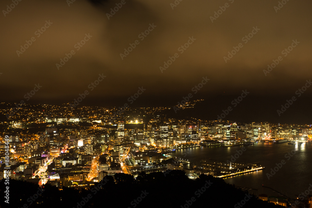 Wellington, New Zealand at night from the Mount Victoria Lookout.