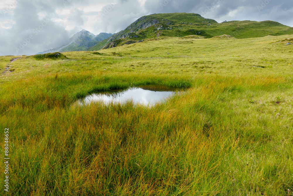 Wasserloch im Hochmoor Wasserloch im Hochmoor