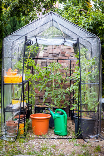 Small greenhouse