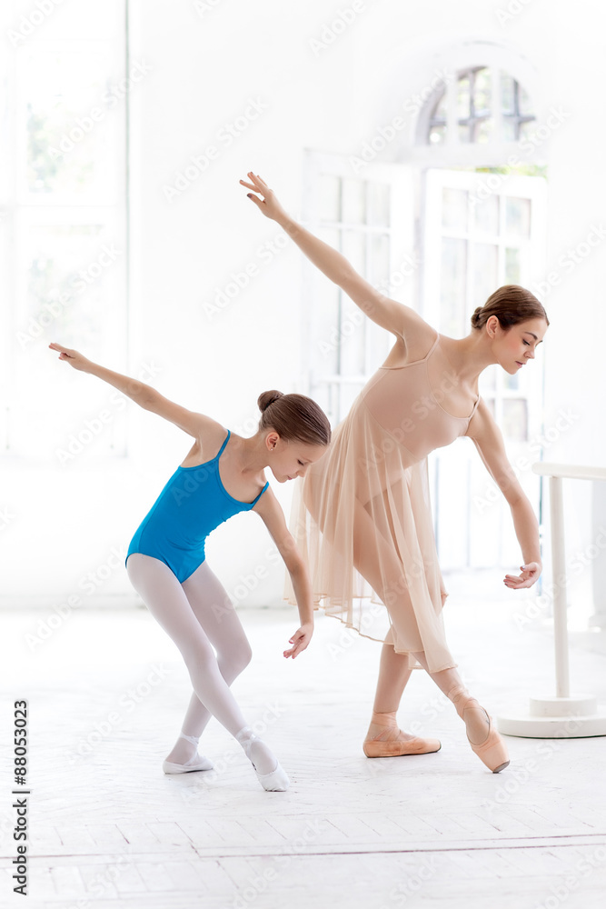 Obraz premium The little ballerina posing at ballet barre with personal