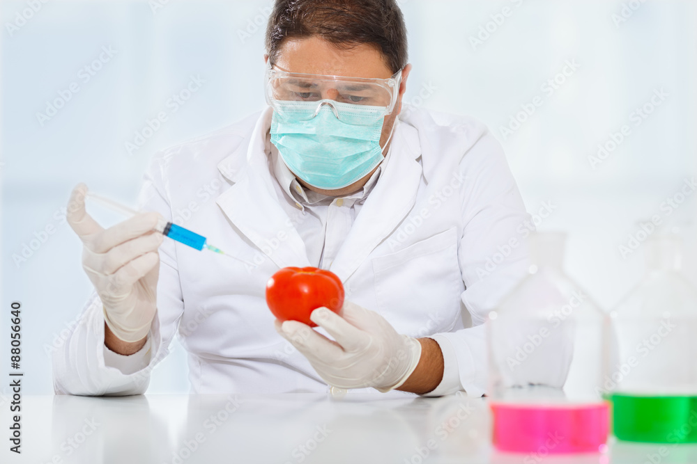 Scientist genetically modifying food. Tomato Scientist genetically modifying food. Tomato