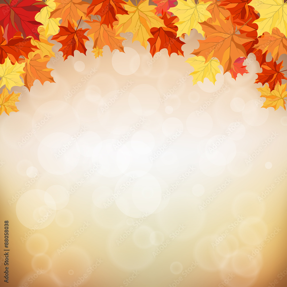 Autumn background Autumn background