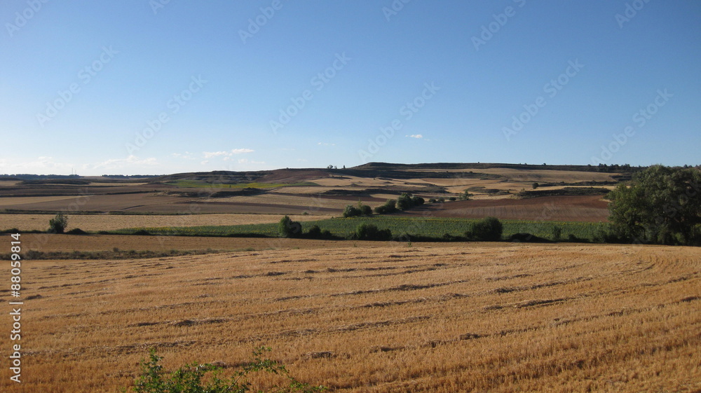 Fototapeta premium Paisaje castellano.