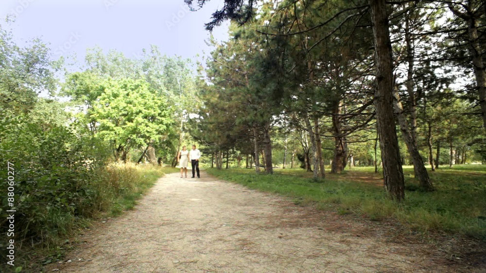 Romantic Walk In The Park Romantic Walk In The Park