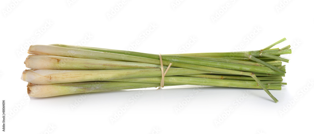 lemon grass on white background lemon grass on white background