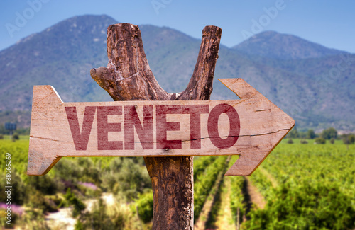 Veneto wooden sign with winery background photo