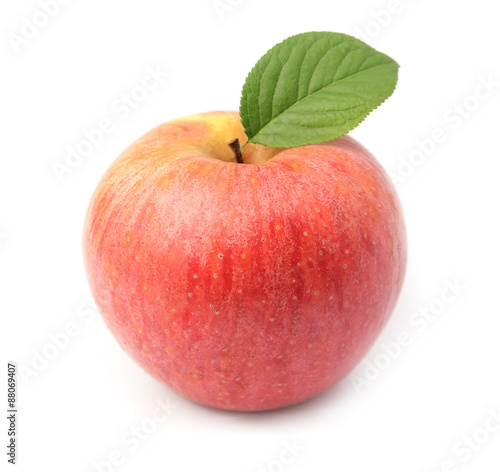 Single fresh apple
