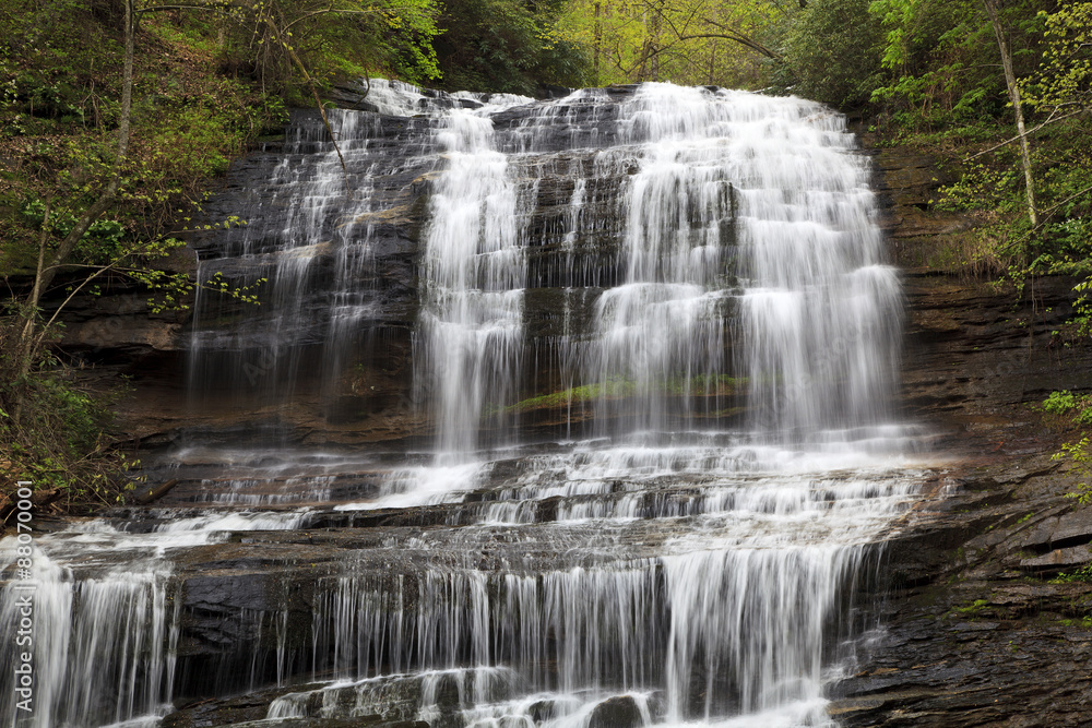 Pearson's Falls near Tryon North Carolina in the Spring Pearson's Falls near Tryon North Carolina in the Spring