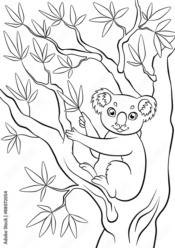 Naklejka premium Little cute koala sitting in the tree