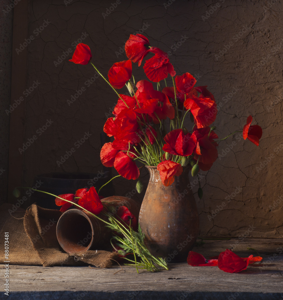 Fototapeta premium still life with poppies