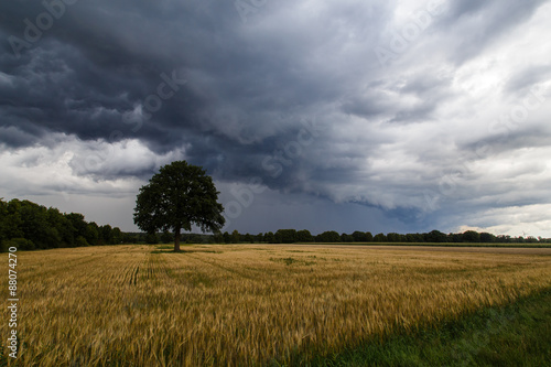Winsen (Aller), Germany - July 29, 2015: Photograph of an approaching summer storm.
