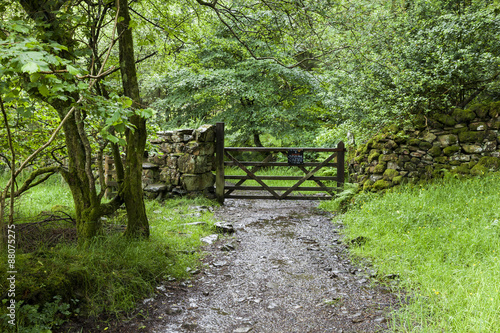 Pathway around Loweswater in the English Lake District, Cumbria, England. UK.