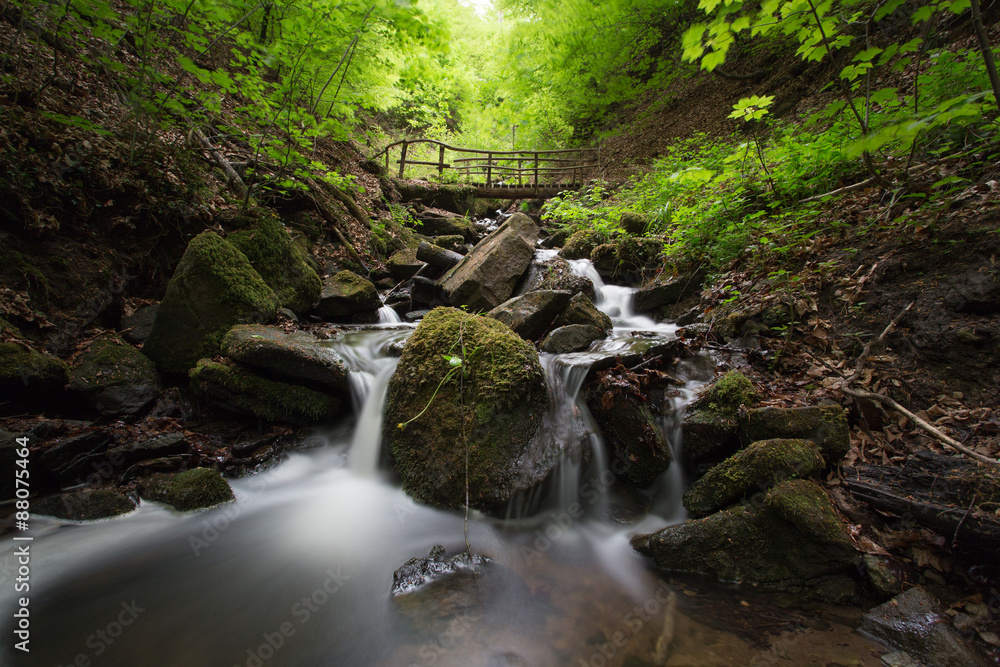 Obraz premium Wodospad w lesie