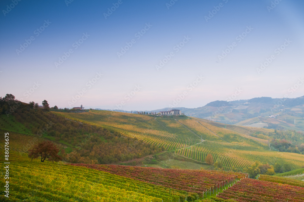 Vigne delle colline delle Langhe in autunno