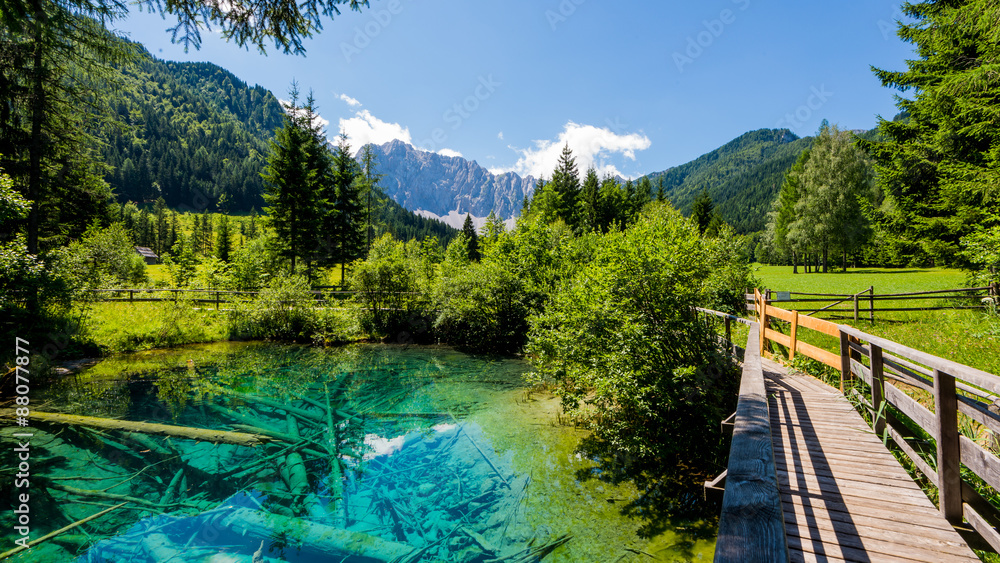 Naklejka premium Teich mit Bäumen auf der Alm