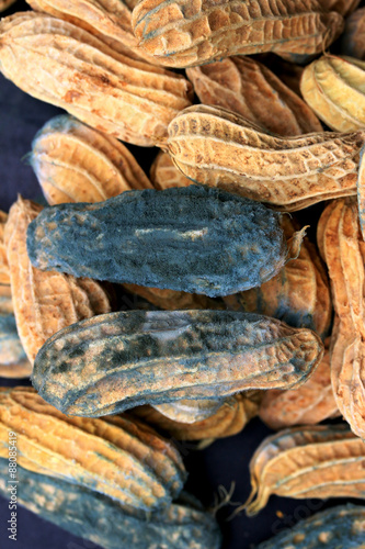 heap of moldy peanuts on a black background