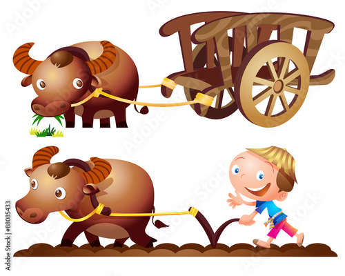 farmer buffalo cart farm