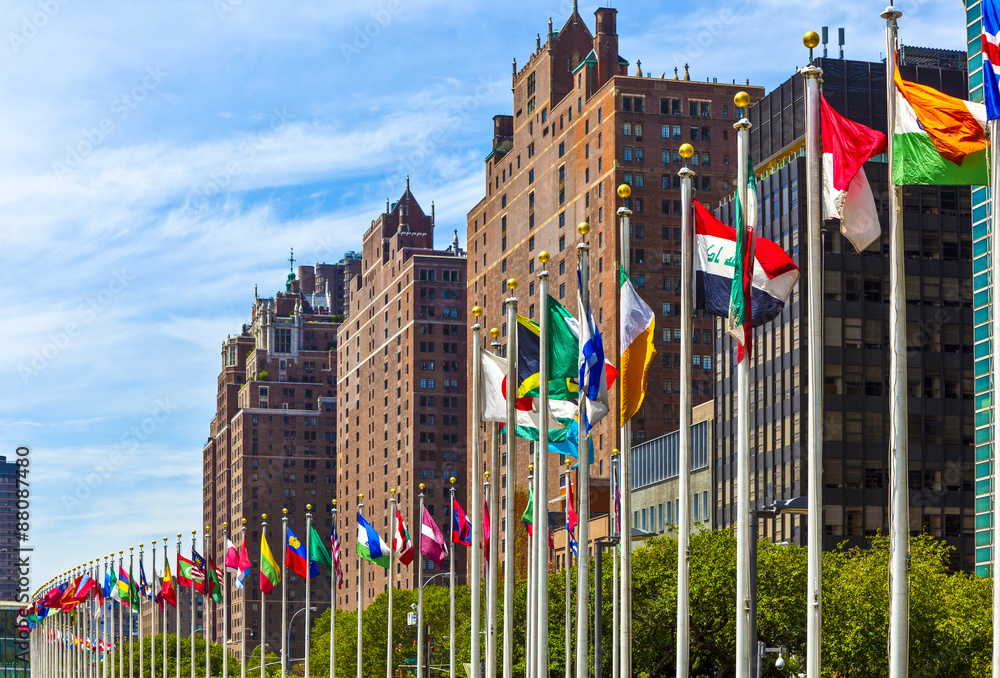 United Nations Headquarters with flags of the   members of the U - obrazy, fototapety, plakaty 