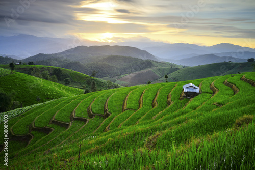 Visual arts rice terraces