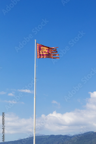 flag of the republic of venice waves in the wind on a tall pole
