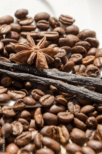 vanilla with coffee grains, cinnamon and aniseed © piotr_roae