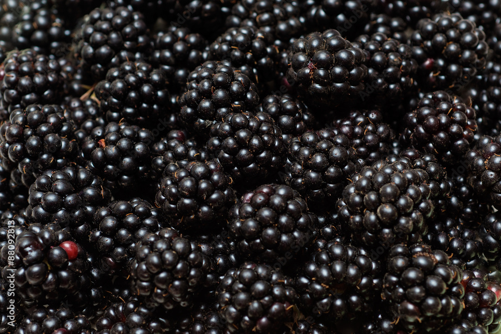 Fresh Ripe Blackberries Fresh Ripe Blackberries