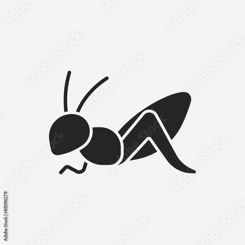 insect icon