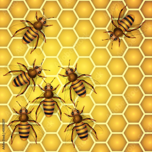 Fototapeta Naklejka Na Ścianę i Meble -  Working bees