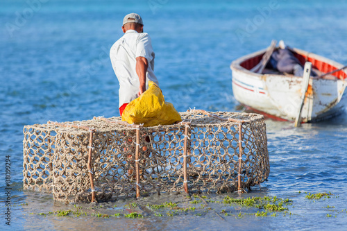 pêcheur au casier, île Rodrigues, Maurice