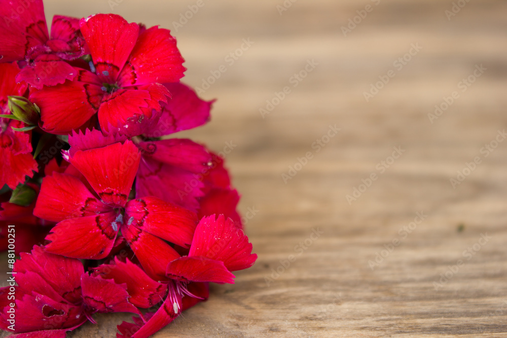 red carnation over wooden table with copy space red carnation over wooden table with copy space
