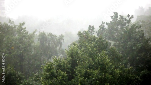 Tropical rain storm in the city