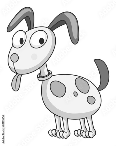 Animal