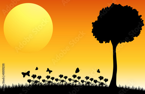 Silhouette field
