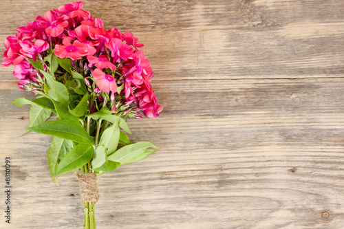 Fototapeta Naklejka Na Ścianę i Meble -  flowers phlox on wooden background