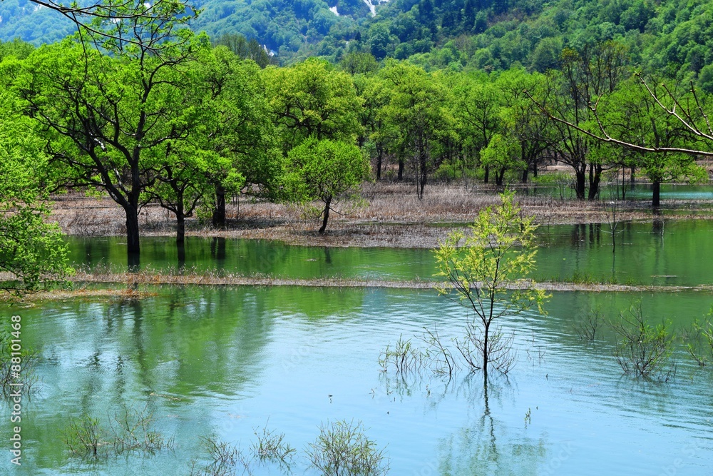 Fototapeta premium 荒沢ダム(山形県鶴岡市)/荒沢ダムは朝日連峰・以東岳にその源を発し、日本海に注ぐ一級河川・赤川の上流に位置しています。総貯水容量は県内最大規模で、洪水調節及びかんがい用水、水力発電に貢献しています。このダムの建設により、荒沢集落42戸200余名の移転、水田、畑、山林等1.89平方キロメートルが水没しました。埋没林は独特の景観を創り出しています。