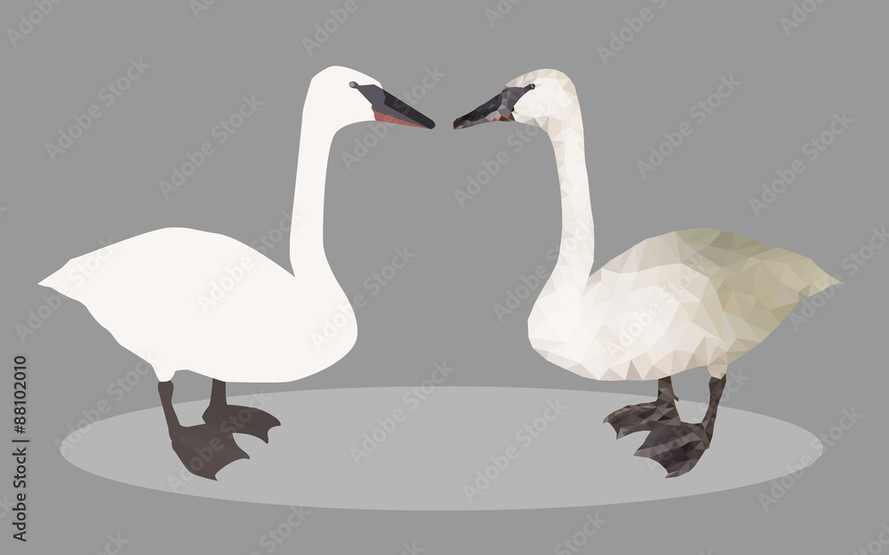 Obraz premium 2 swan vector