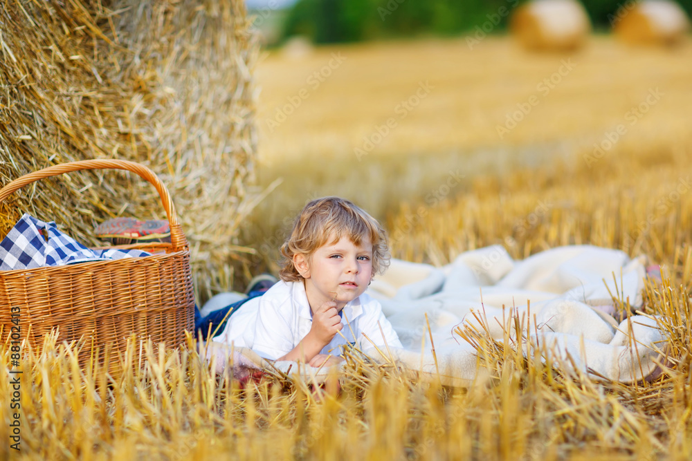Little boy of 3 years having picnic on yellow hay field in summe Little boy of 3 years having picnic on yellow hay field in summe