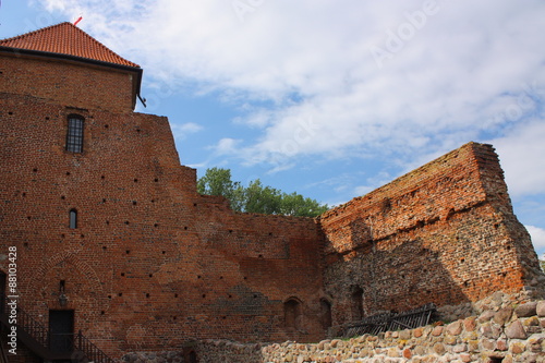 Ruiny zamku w Liwiu koło Węgrowa.