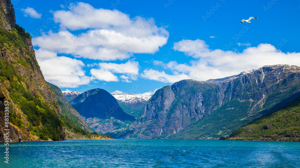 Sognefjord Panorama in Norway