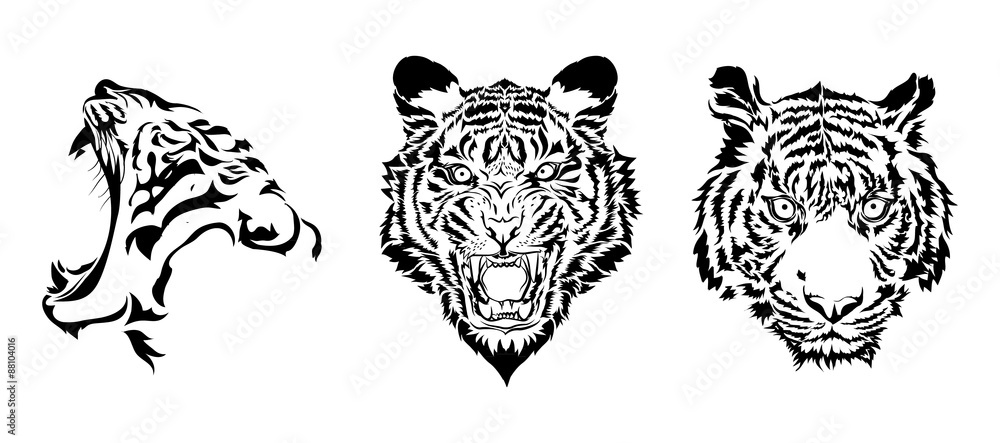 Fototapeta premium tiger heads in black vector