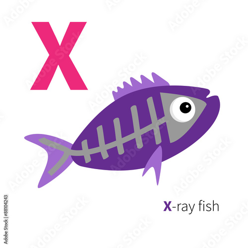 Letter X X-ray fish Zoo alphabet. English abc with animals Education cards for kids Isolated White background Flat design
