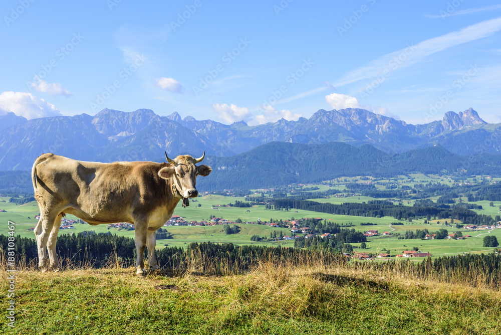 ländliche Idylle im Alpenvorland
