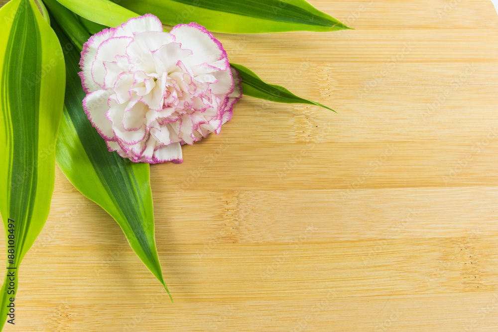 Flower and leaf on wood backgrounds Flower and leaf on wood backgrounds