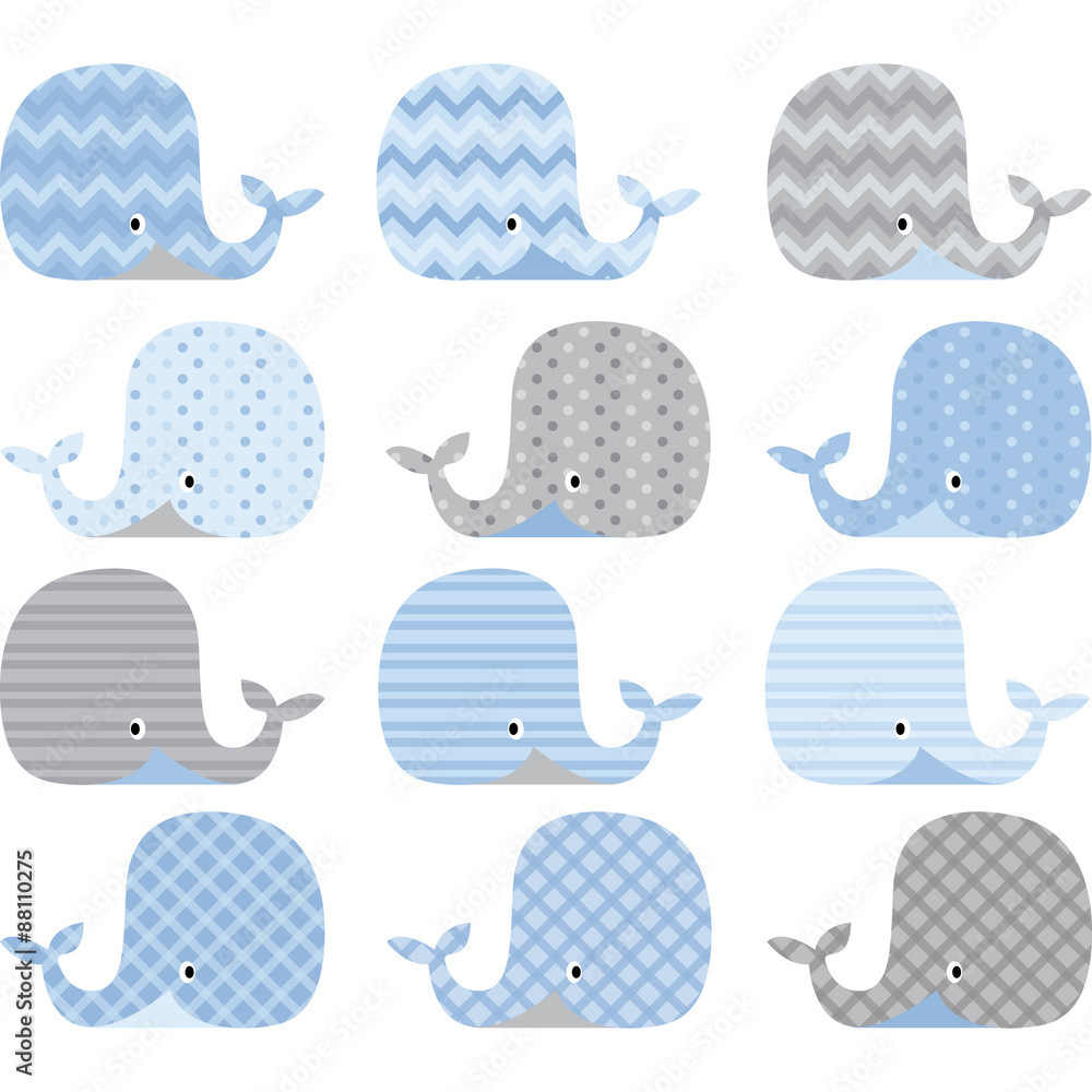 Fototapeta premium Blue and Grey Cute Whale Collections
