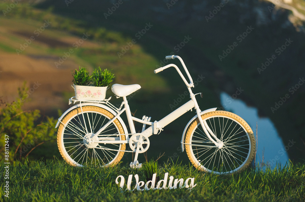 Wedding Bicycle