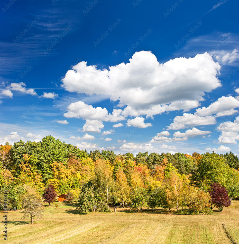 Autumn landscape with yellow red trees and blue sky