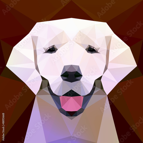 Vector illustration - Face of a labrador dog