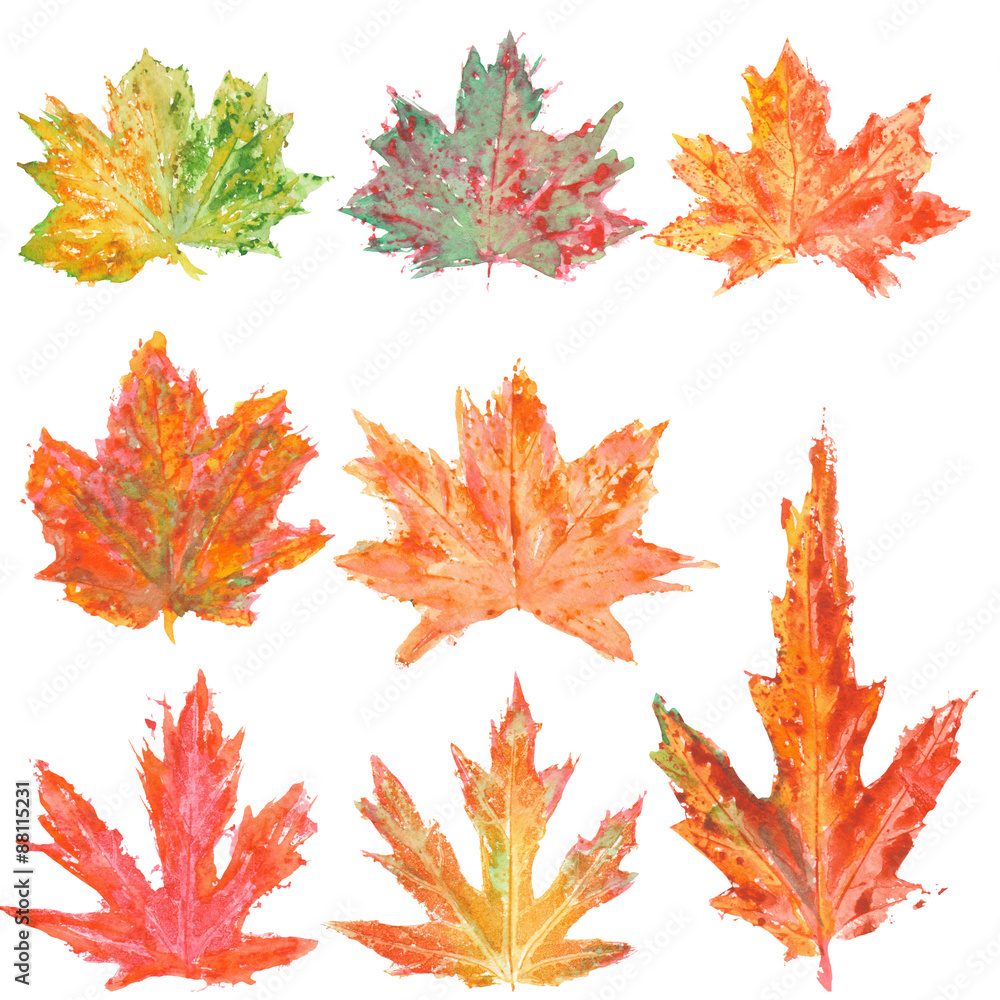 Set with bright autumn maple leaves stamped in watercolor on a white background Set with bright autumn maple leaves stamped in watercolor on a white background