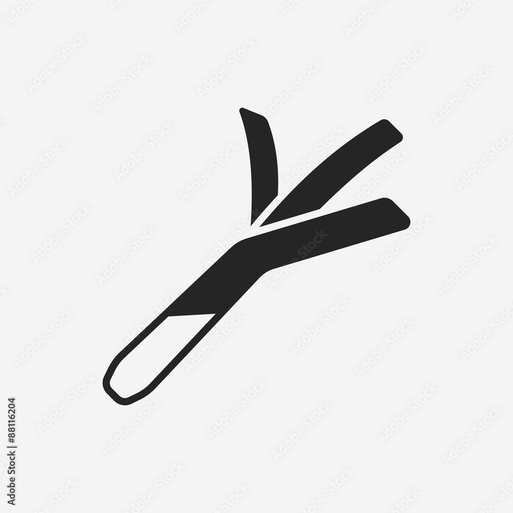 Fototapeta premium vegetables icon